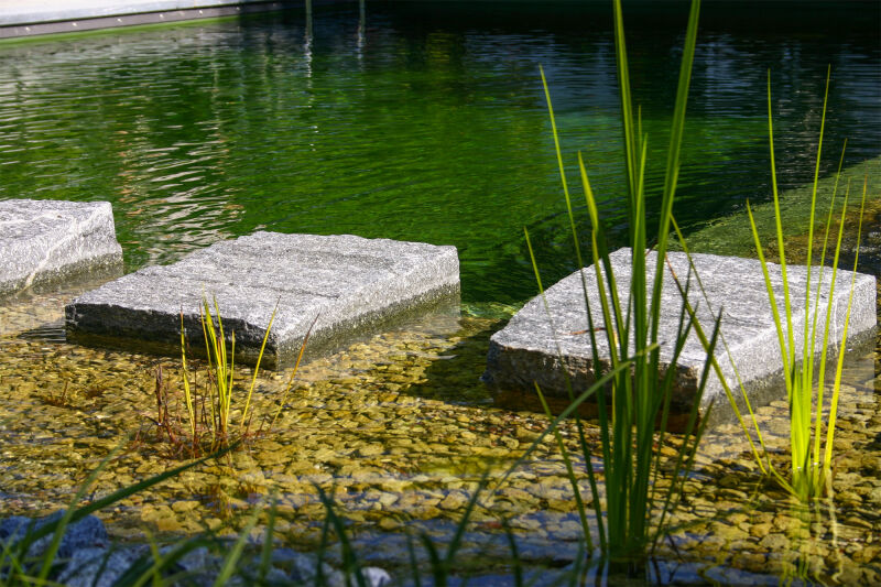 die gartenbauer Schwimmteich mit Naturstein